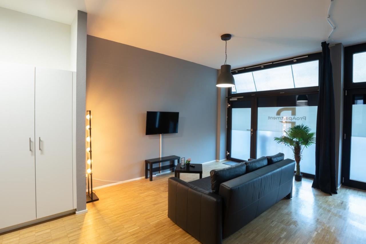 بازل Proapartment المظهر الخارجي الصورة