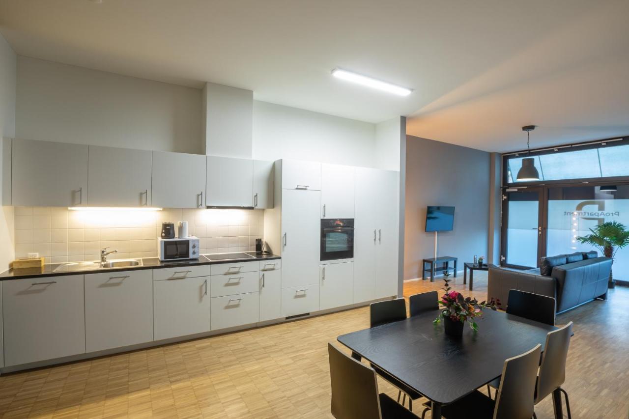 بازل Proapartment المظهر الخارجي الصورة